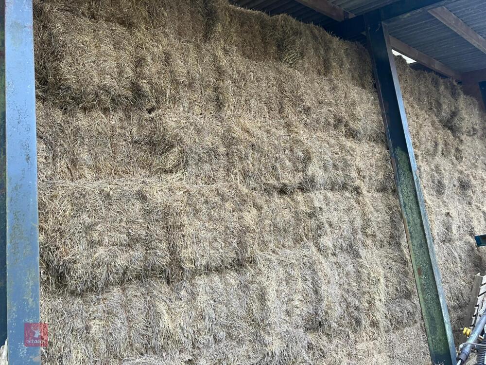 25 X 4 STRING BALES OF 2025 HAY - BIDS PER BALE