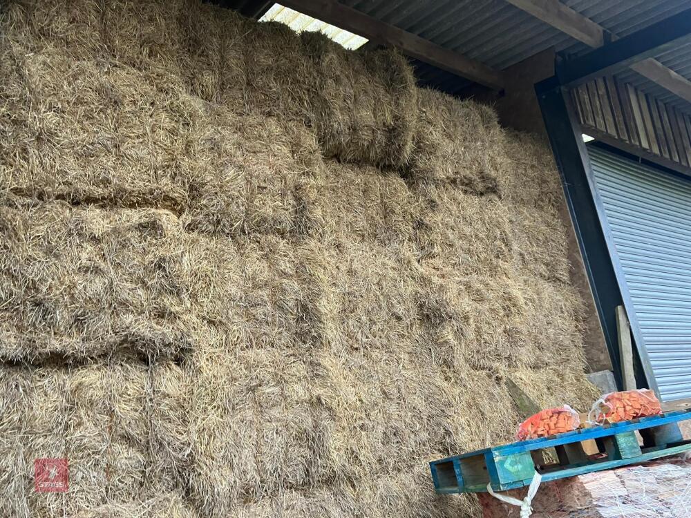String Brles 25 X 4 STRING BALES OF 2025 HAY