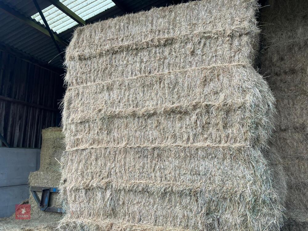 25 X 4 STRING BALES OF 2025 HAY - BIDS PER BALE