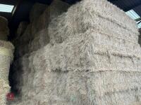 25 X 4 STRING BALES OF 2025 HAY - BIDS PER BALE - 2
