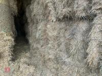 25 X 4 STRING BALES OF 2025 HAY - BIDS PER BALE - 3