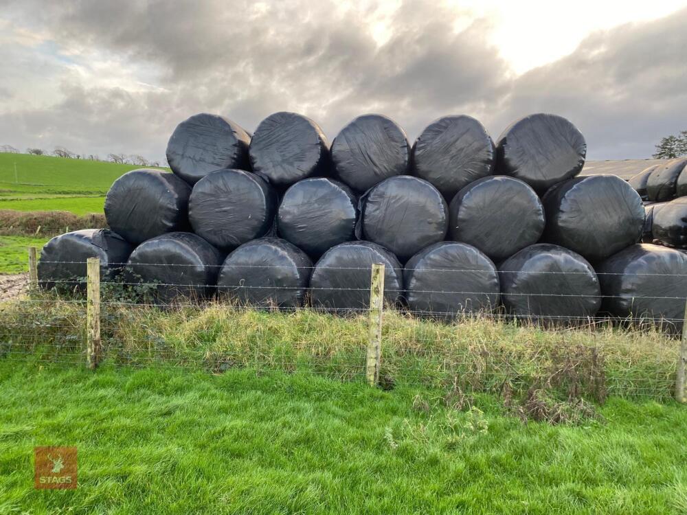 50 ROUND BALES OF 2025 ORGANIC SILAGE - BIDS PER BALE