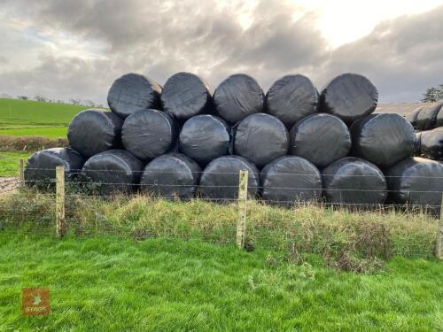 50 ROUND BALES OF 2025 ORGANIC SILAGE - BIDS PER BALE