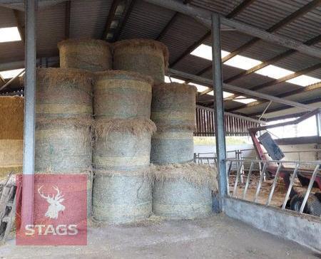 6O ROUND BALES OF 2024 BULLOCK HAY - BIDS PER BALE