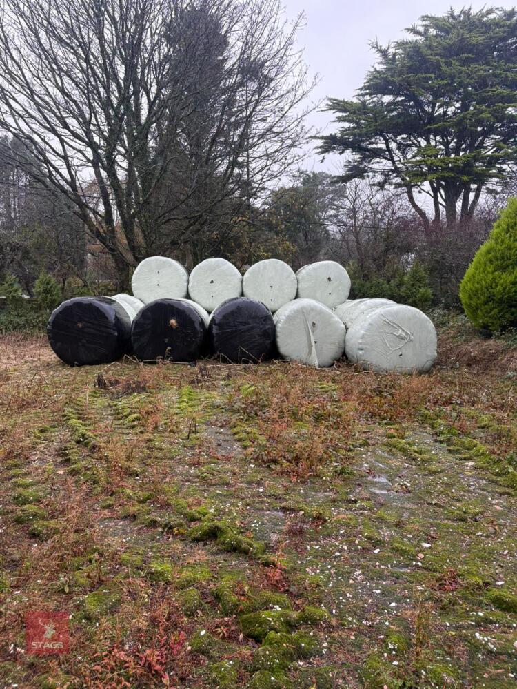 34 ROUND BALES OF 2024 HAY - BIDS PER BALE