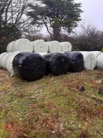 34 ROUND BALES OF 2024 HAY - BIDS PER BALE - 2