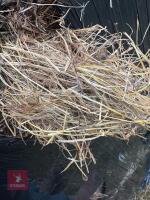 34 ROUND BALES OF 2024 HAY - BIDS PER BALE - 3