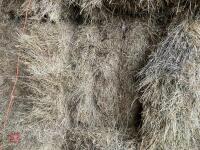 25 X 4 STRING BALES OF 2025 HAY - BIDS PER BALE - 4