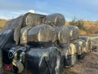 55 ROUND BALES OF 2024 HAYLAGE - BIDS PER BALE - 3
