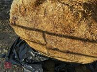 55 ROUND BALES OF 2024 HAYLAGE - BIDS PER BALE - 6
