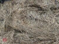 55 ROUND BALES OF 2024 HAYLAGE - BIDS PER BALE - 12