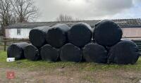 10 ROUND BALES OF 2025 HAYLAGE - BIDS PER BALE