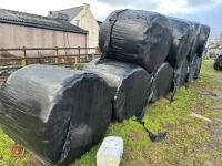 10 ROUND BALES OF 2025 HAYLAGE - BIDS PER BALE - 7