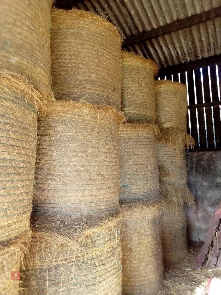 20 ROUND BALES OF 2025 HAY - BIDS PER BALE