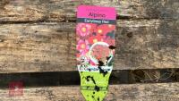 8 SAXIFRAGA X ARENDSII ALPHINE PLANTS - 5