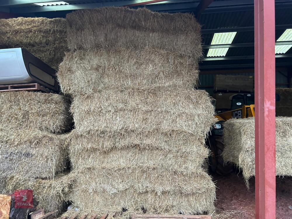 40 SQUARE BALES OF 2025 HAY - BIDS PER BALE