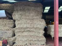 40 SQUARE BALES OF 2025 HAY - BIDS PER BALE