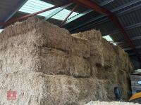 40 SQUARE BALES OF 2025 HAY - BIDS PER BALE - 2