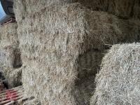 40 SQUARE BALES OF 2025 HAY - BIDS PER BALE - 3