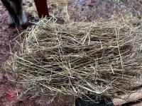 40 SQUARE BALES OF 2025 HAY - BIDS PER BALE - 5