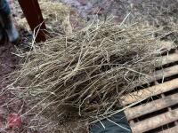 40 SQUARE BALES OF 2025 HAY - BIDS PER BALE - 6