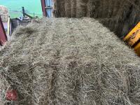 40 SQUARE BALES OF 2025 HAY - BIDS PER BALE - 3