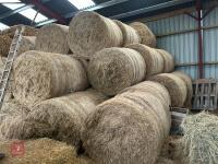 50 ROUND BALES OF 2025 HAY - BIDS PER BALE