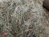 50 ROUND BALES OF 2025 HAY - BIDS PER BALE - 6