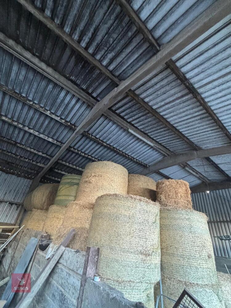 46 ROUND BALES OF 2024 HAY - BIDS PER BALE