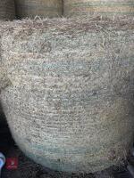 46 ROUND BALES OF 2024 HAY - BIDS PER BALE - 2