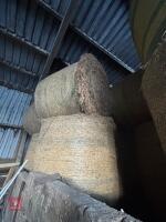 46 ROUND BALES OF 2024 HAY - BIDS PER BALE - 4