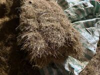 50 CONVENTIONAL BALES OF HAY - BIDS FOR THE GROUP - 9