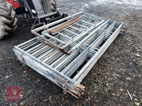 GALVANISED CATTLE RACE/HANDLING SYSTEM