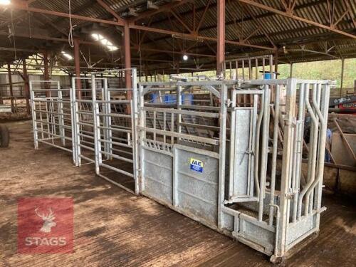 IAE CATTLE CRUSH & HURDLES