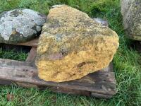 CONCRETE STADDLE STONE MUSHROOM (2) - 5
