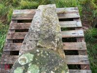 CONCRETE STADDLE STONE MUSHROOM (1) - 4