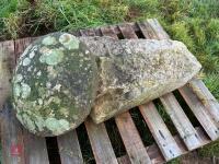 CONCRETE STADDLE STONE MUSHROOM (1) - 5