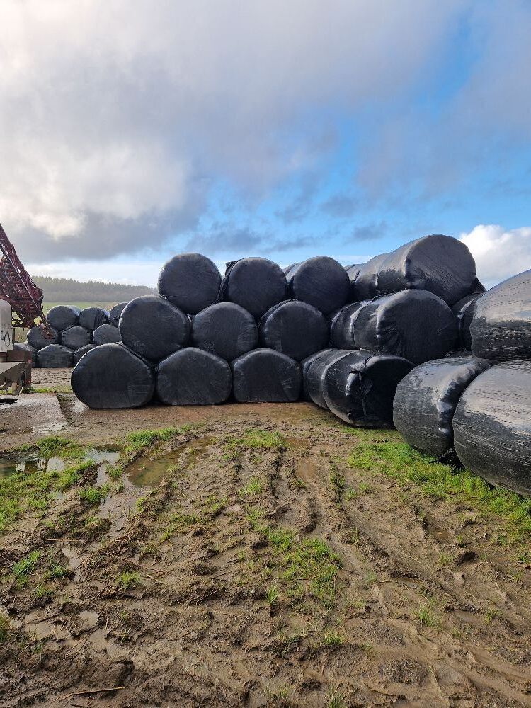 62 ROUND BALES OF 2025 HAYLAGE - BIDS PER BALE