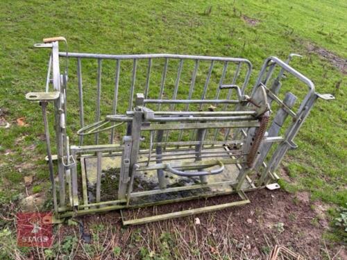 SHEEP TURNOVER CRATE