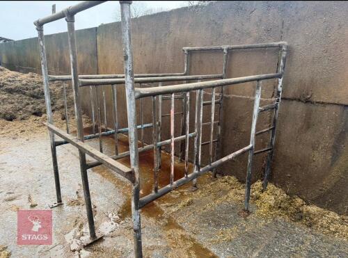 2 COW AI STALLS