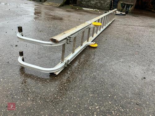 3.8M ROOF LADDER (198)