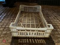 20 VEGETABLE/STORAGE TRAYS - 6