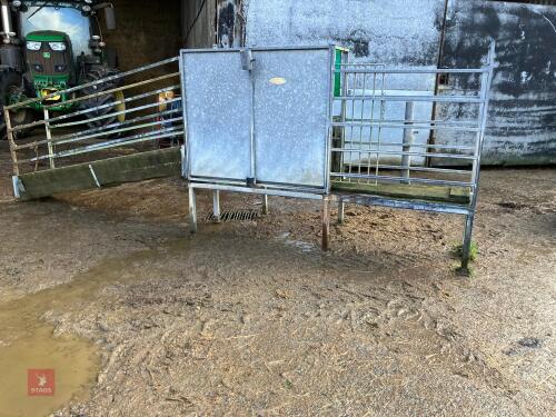 SHEEP TURNOVER CRATE