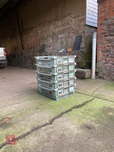 5 RECTANGULAR GREEN STACKING TRAYS