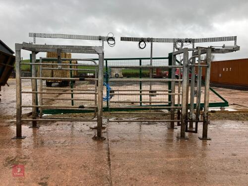 DAIRY SORT GATE RACE SYSTEM