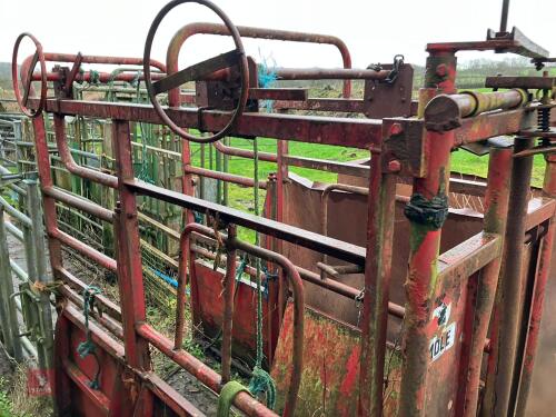 RED FOOT TRIMMING CATTLE CRUSH