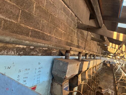 4'' FEED AUGER