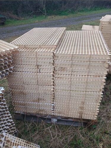 50 INTERLOCKING POULTRY SLATS