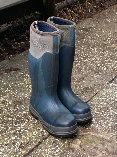DICKIES UK5.5 LANDMASTER WELLIES