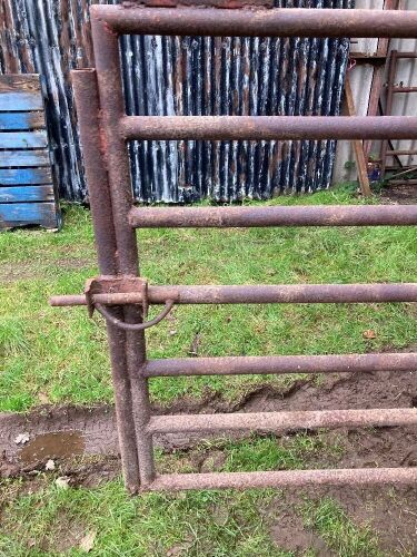5'6'' HEAVY GATE